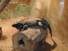 -鄂尔多斯野生动物园