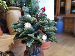 -花到家(富贵鸟花艺行)