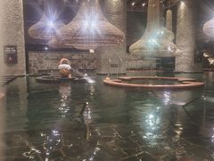 -清河半岛温泉度假酒店