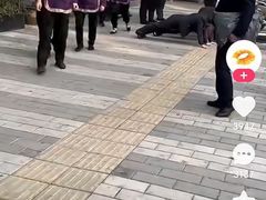 -鼎记酒楼(雁南一路店)