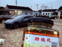 -苏州市吴中区光福窑上花果蜜饯厂