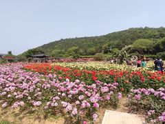 -龙寺生态园