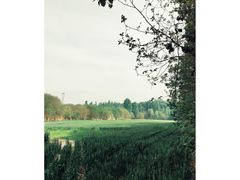 -淇河国家湿地公园