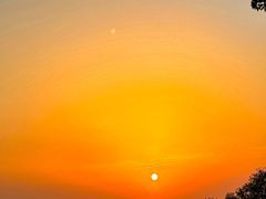 -苏州太湖西山岛开心农场