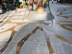 -泡桐树街
