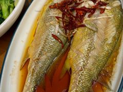 -波螺油子·海肠捞饭·青岛菜(银座店)