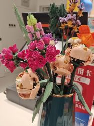 -乐高授权专卖店(中关村领展店)