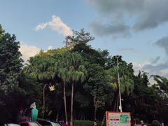 -广州市流溪河国家森林公园