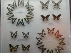 -陕西自然博物馆