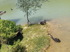 -广州白江湖森林公园