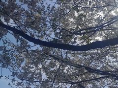 -南山植物园
