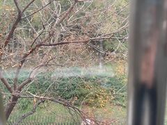 -牛姥姥牛奶酪