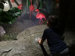 -泉城欧乐堡海洋极地世界