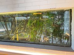 -大妙火锅·非物质文化遗产(东湖公园店)