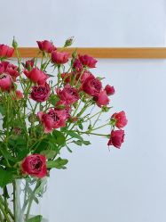 -闺蜜瑜伽·普拉提女性塑形馆