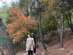 -南京市无想山景区