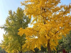 -太阳宫公园
