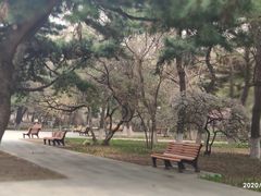 -东北大学(南湖校区)