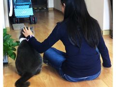 -猫音日语留学培训