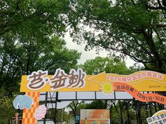 -金鸡湖桃花岛