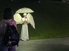 -荷兰花海