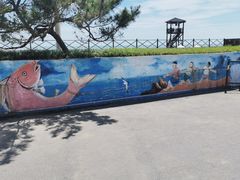 -日照海滨国家森林公园