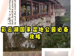 -重庆彩云湖湿地公园
