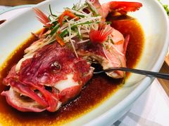 -鹊华居·地道鲁菜·海鲜·融合味(大明湖店)