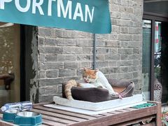 -波特曼西餐厅(南岗店)