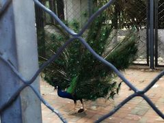 -长白岛森林公园