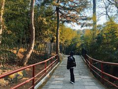 -红螺寺