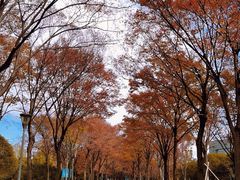 -院士公园