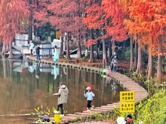 -重庆彩云湖湿地公园