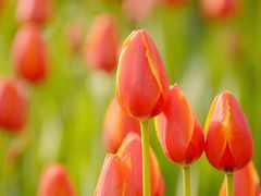 -长春公园(普阳街道)