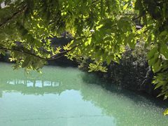 -黄花溪