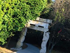 -四明山国家森林公园