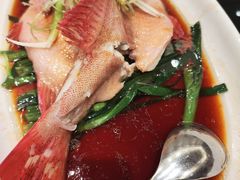 -新南华大酒店(长寿店)