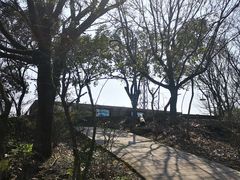 -青龙山公园