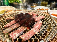 -农乐园炭火烤肉(世茂店)