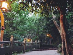 -普陀山慧济禅寺