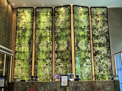 -安蒂娅·海鲜自助餐厅(安蒂娅美兰酒店)