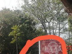 -丹樱生态园