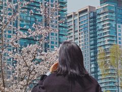 -西北湖绿化广场