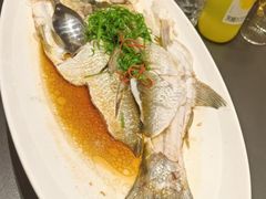 -新天明砂锅鱼头煲