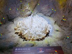 -正佳自然科学博物馆