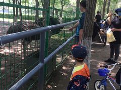 -长白岛森林公园