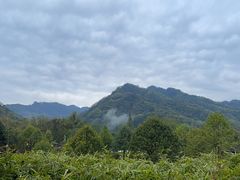-青城山六善酒店·紫氣園中餐厅