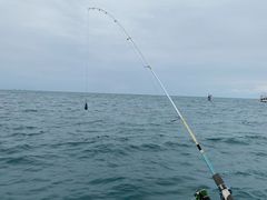 -小猫钓鱼海钓俱乐部(椰梦长廊店)