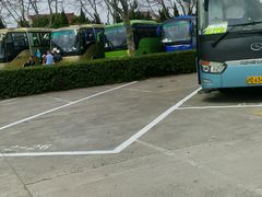 -野生动物园-停车场