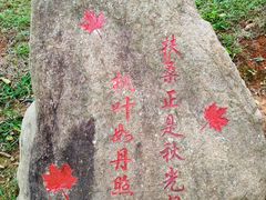 -广州市帽峰山景区